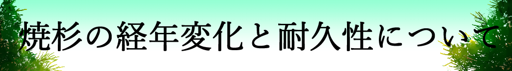 バナー　1